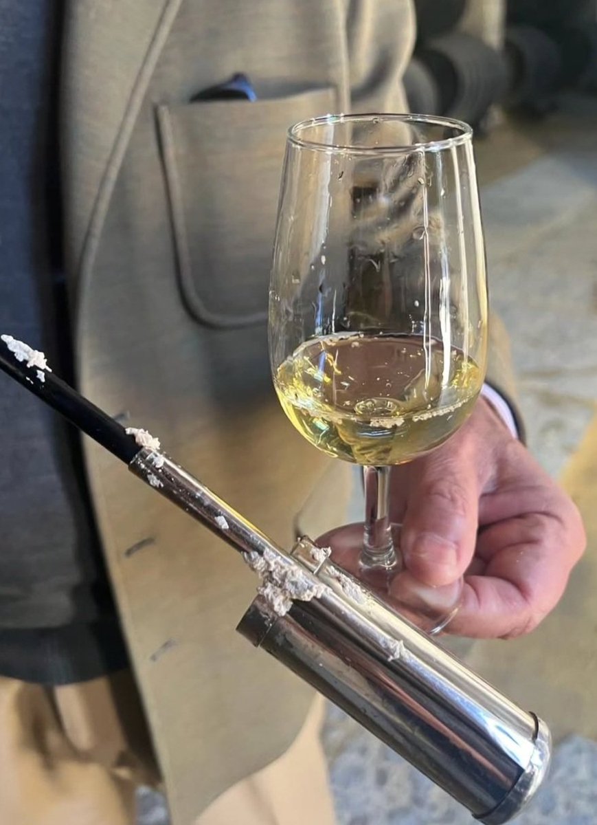 Flor y sal. La fuerza de nuestra tierra albariza y el milagro de la crianza biológica. 
#TíoPepe #enrama 2025
#hacedordevinos #sherryrevolution