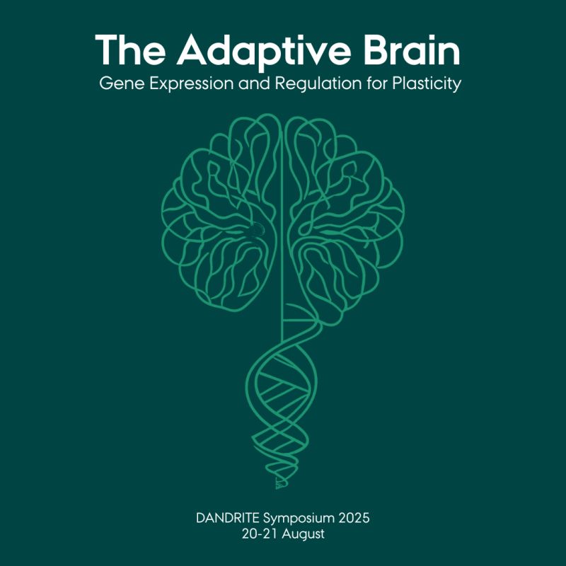 Registration is open for @DANDRITE Symposium: Gene Expression in Brain (20-21 August 2025)!

World-class plenaries Mike Greenberg, Elly Nedivi, Anne Shaefer, Alex Schier + more speakers.

Why don't you travel to Denmark this summer? Travel grants prepared.
dandrite.au.dk/news/events/da…