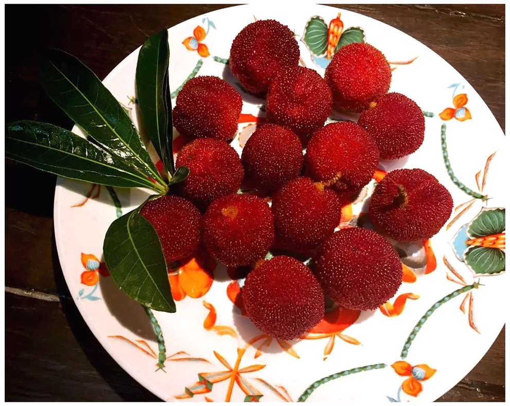 kampf trinker (@komatrinker69) on Twitter photo 