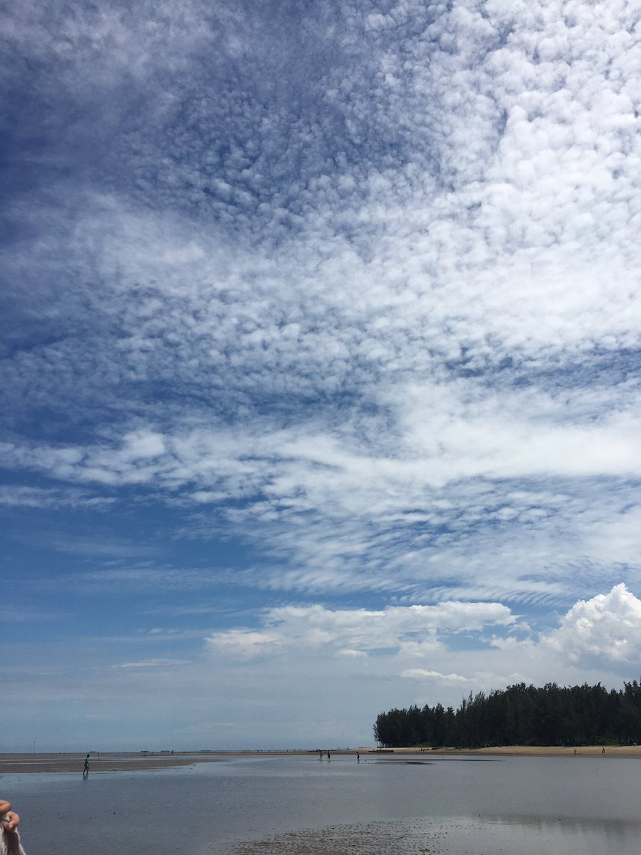 Excapts's tweet image. Safe place.