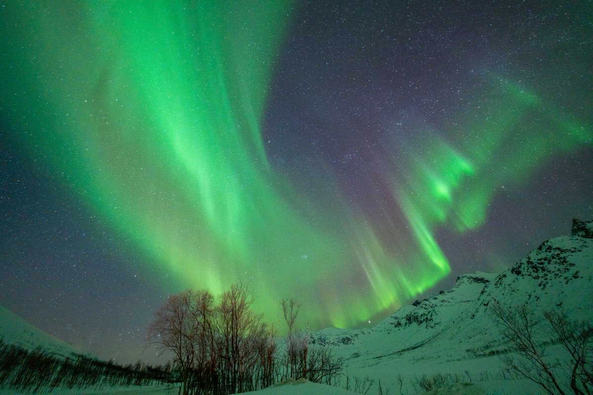 danielle tweet media