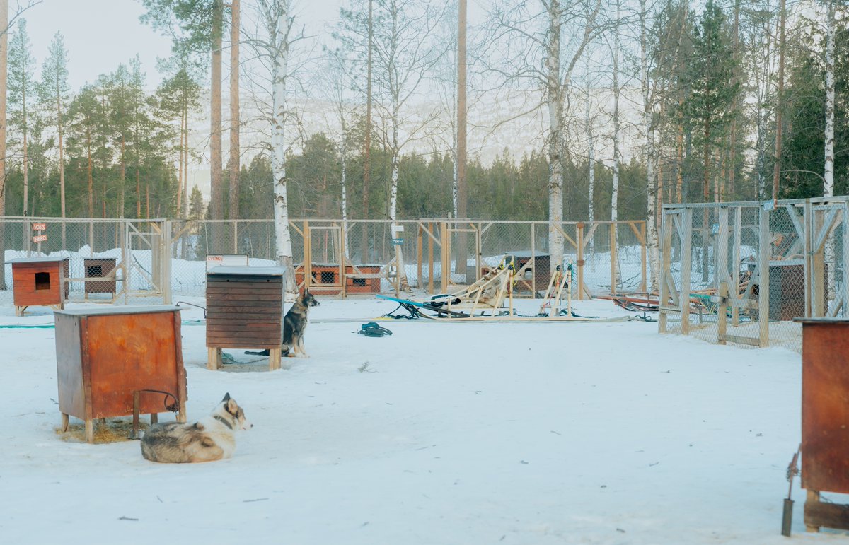 danielle tweet media