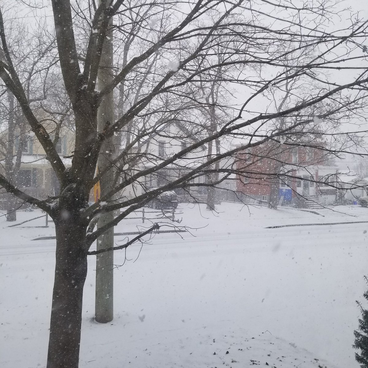 RupyBloop's tweet image. Buddy it&apos;s fucking April