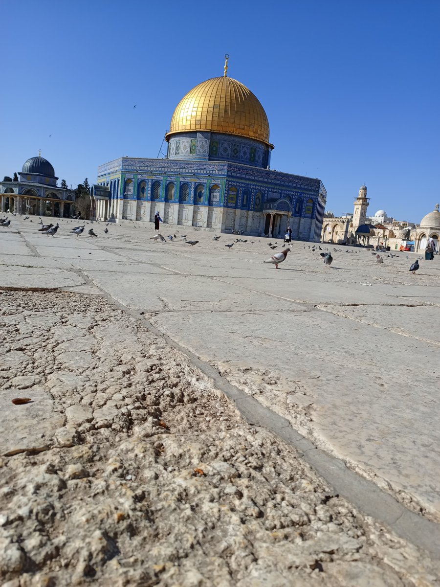 Gazze 🇵🇸 tweet media