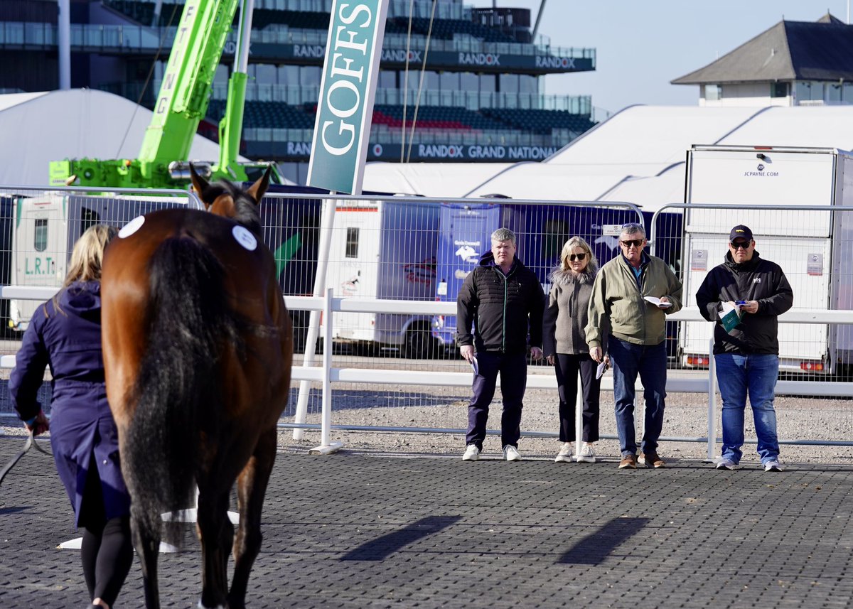 Goffs UK tweet media