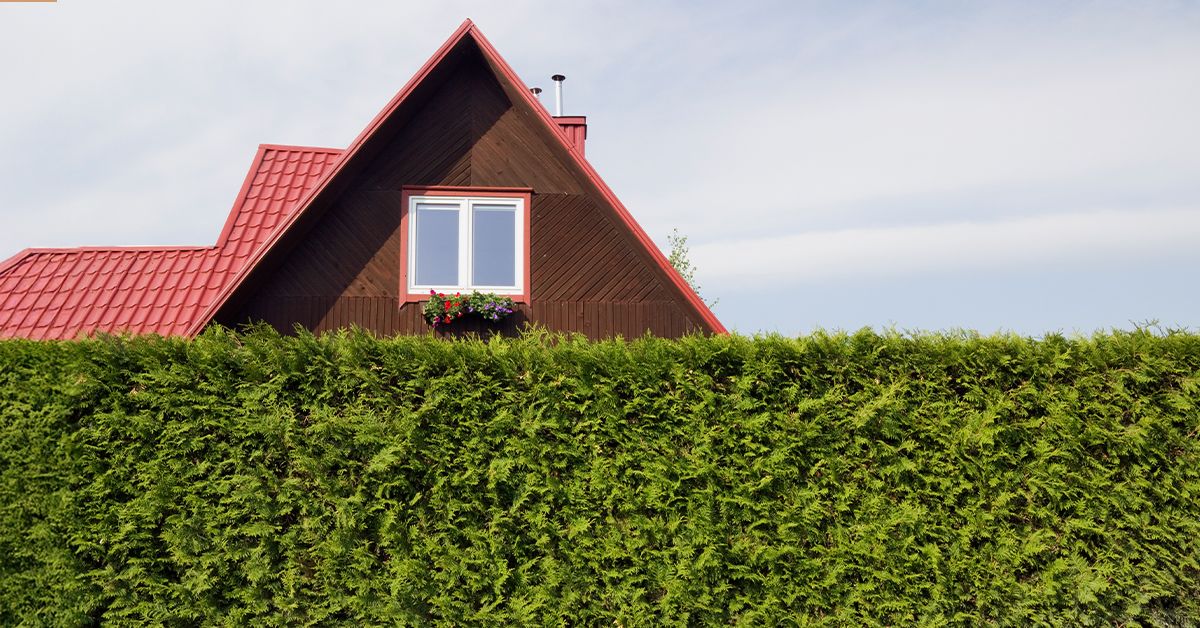 WConteMS's tweet image. Mortgage rates are forecast to drop over time, but affordability likely won't return to pre-pandemic levels. Let's discuss the overall financial implications of buying a home in the current market. livesocial.seismic.com/t1bZl4