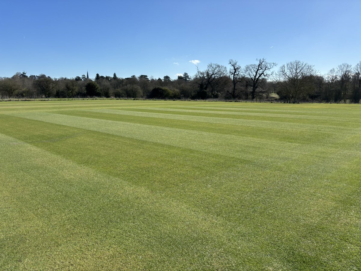 Application of iNtrench at <a href="/TerlingCC/">Terling Cricket Club 🏏</a>