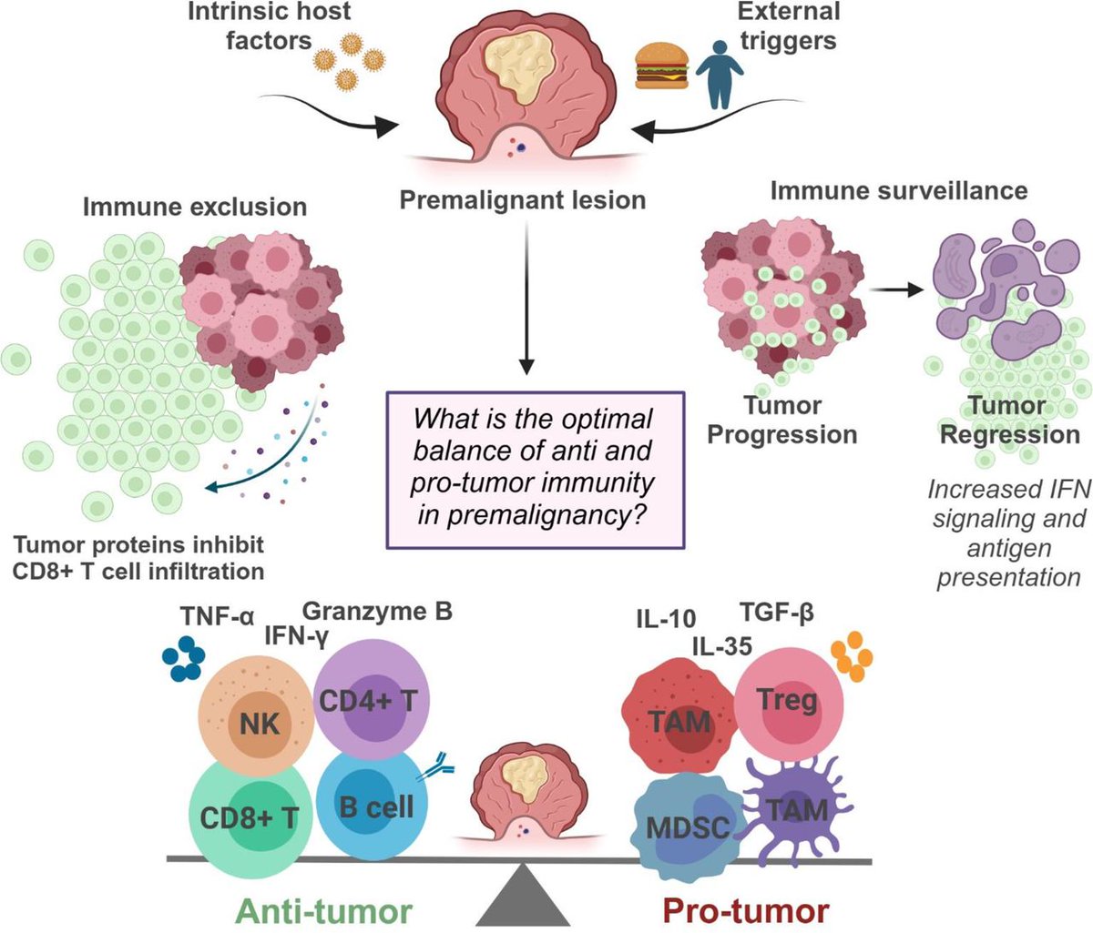 New #JITC position article and guidelines: SITC strategic vision: prevention, premalignant immunity, host and environmental factors bit.ly/427RWlU <a href="/RadvanyiLaszlo/">Laszlo Radvanyi</a> <a href="/MeganHong97/">Megan Hong</a> <a href="/SMImmunology/">Saman Maleki, PhD 🇨🇦</a> <a href="/OICR_news/">Ontario Institute for Cancer Research (OICR)</a>