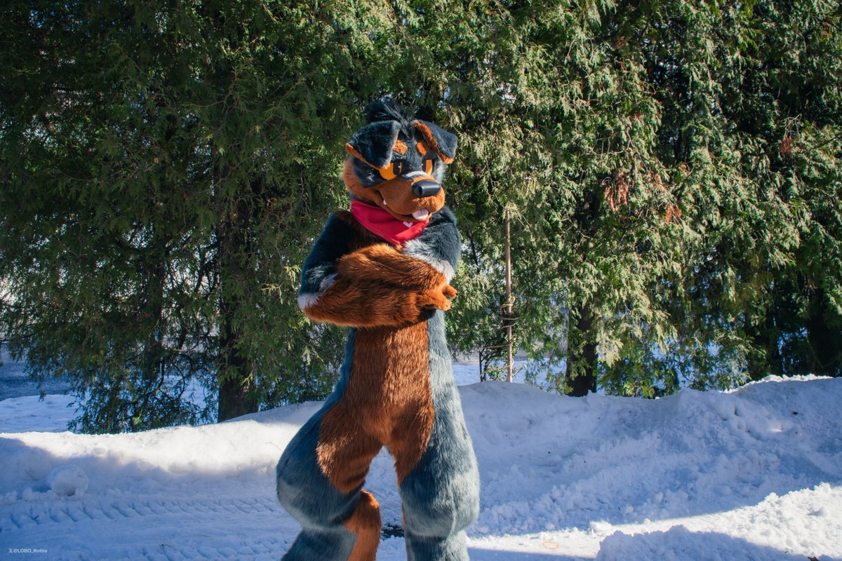 🌲🌲🐕🌲🌲

📷<a href="/kannuk_helicop/">努克／Kannuk➡️二足歩行TwinTrails</a>