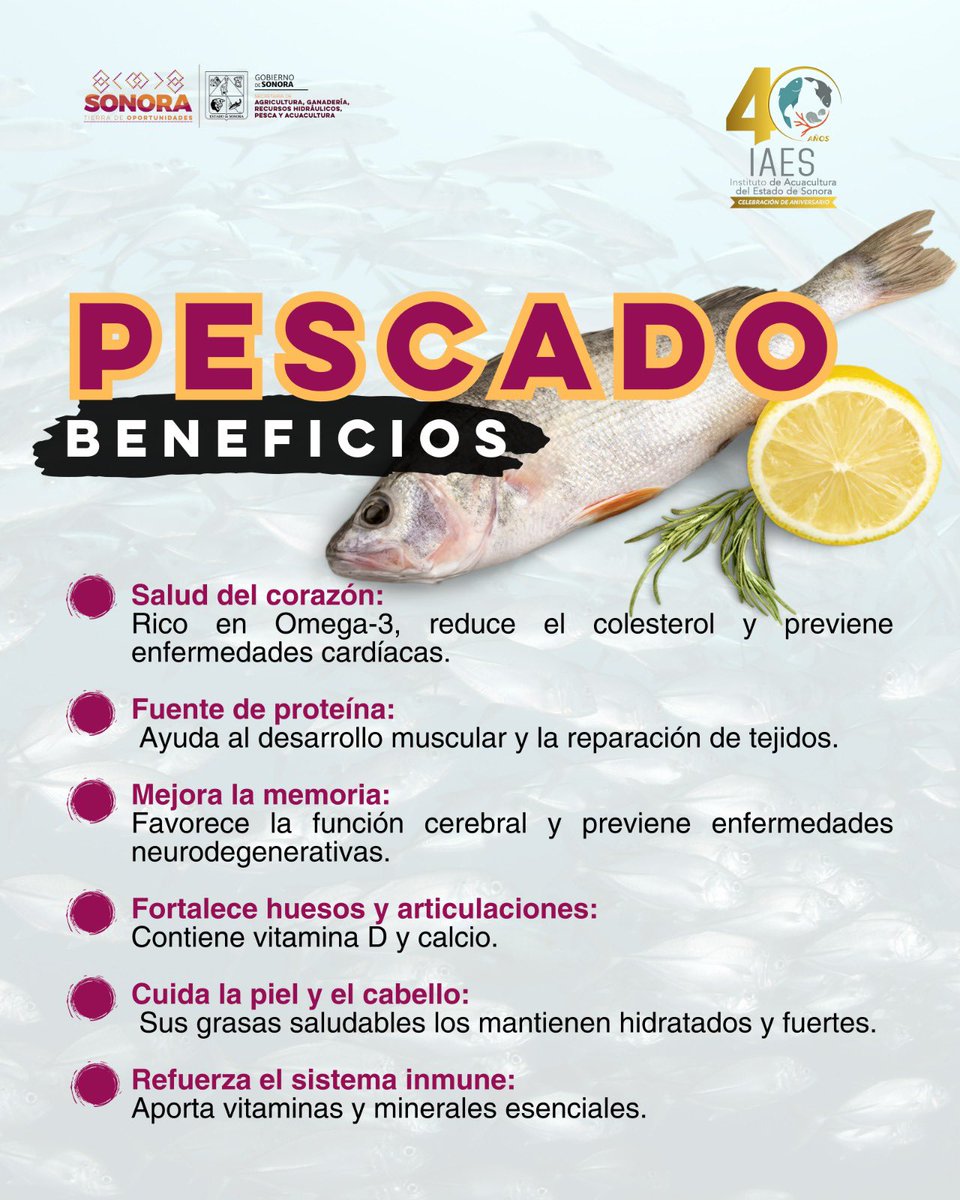 IAESSonora's tweet photo. ¿Sabías que comer pescado 🐟 regularmente puede mejorar tu memoria 🧠, cuidar tu corazón y fortalecer tu piel? ¡Inclúyelo en tu dieta y disfruta de sus beneficios!
¿Cuál es tu pescado favorito? 🐟
#tilapia #cazon #sierra #sardina #atun #curvina #baqueta https://t.co/m69tWITBrw