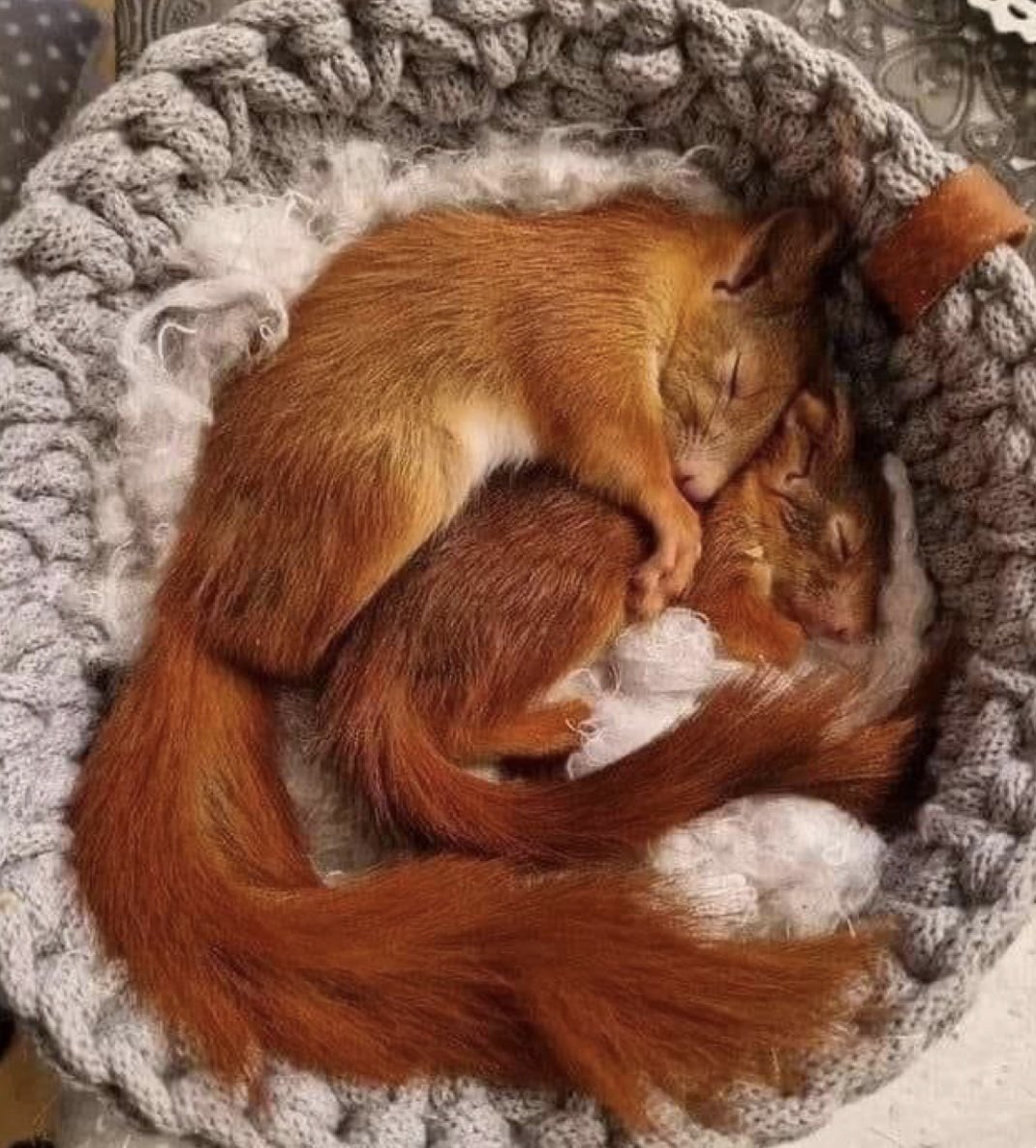 VladisllavaB's tweet image. #ДобрыйВечер