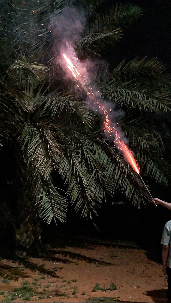 عشوائيات المزرعة🌿❤️