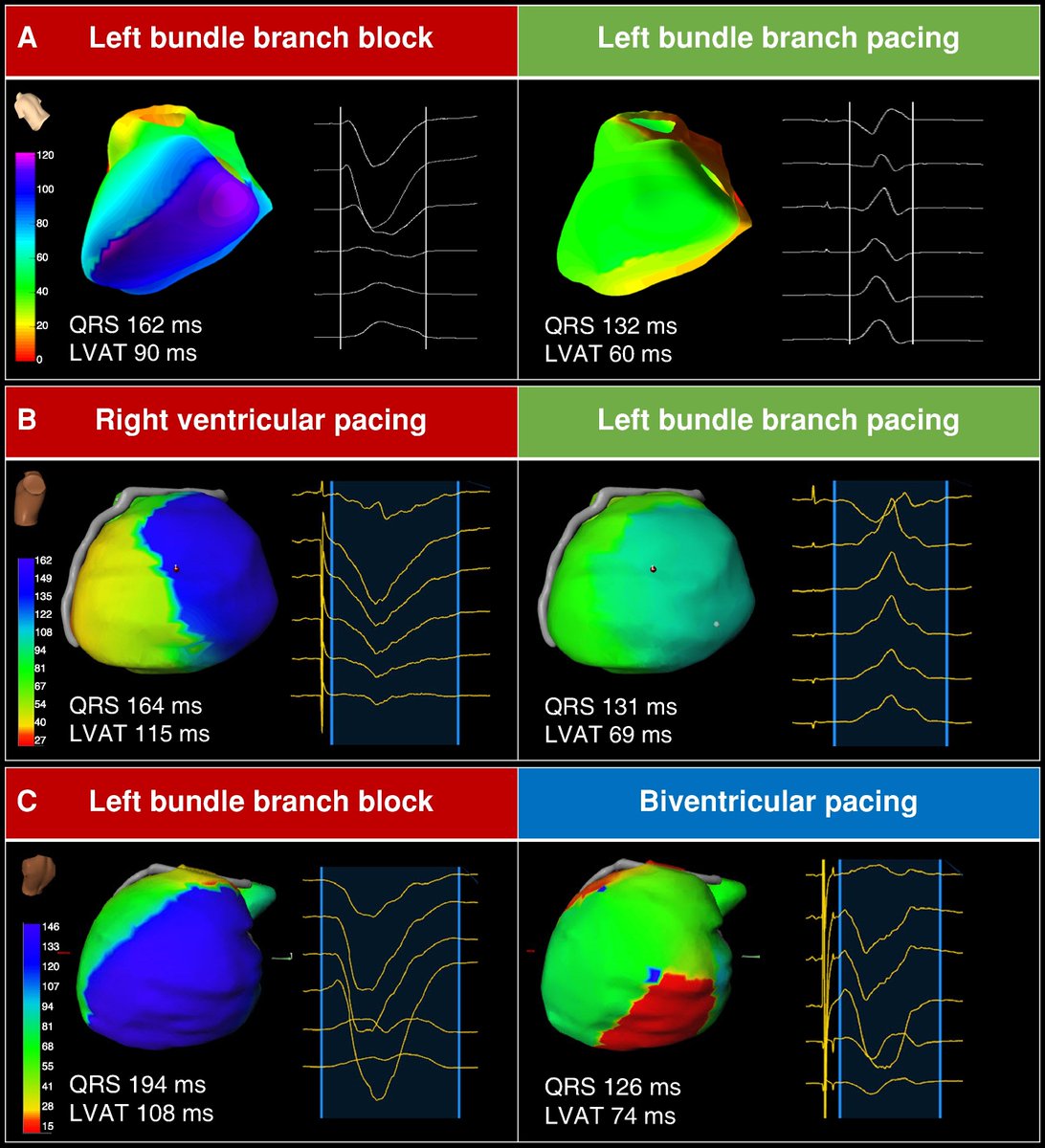 Margarida Pujol Lopez (@margaridapujol) on Twitter photo 