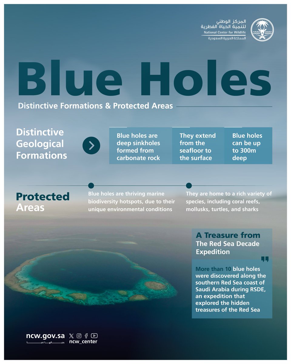 NCW_center's tweet image. Blue Holes: Discovered as part of the #RSDE, these unique geological formations are rich in biodiversity.

#NurturedByNature