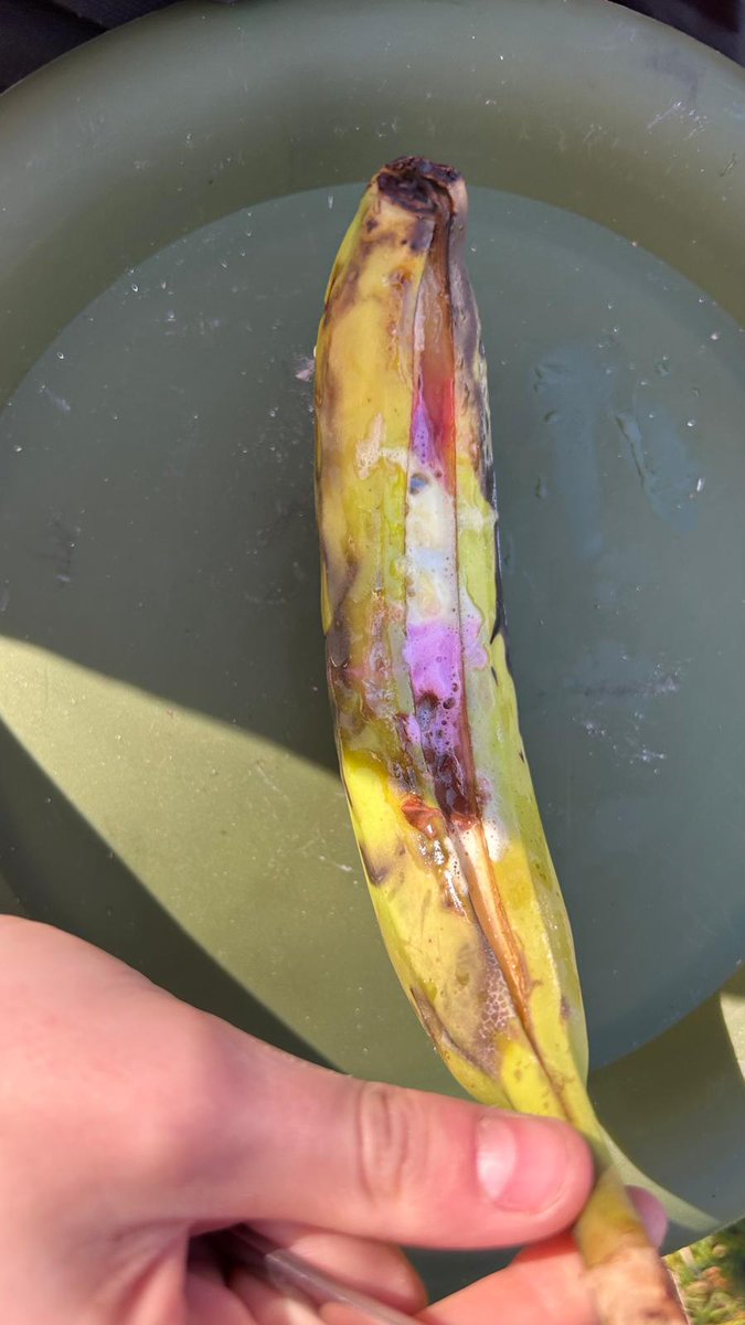 Under The Trees Ltd tweet media