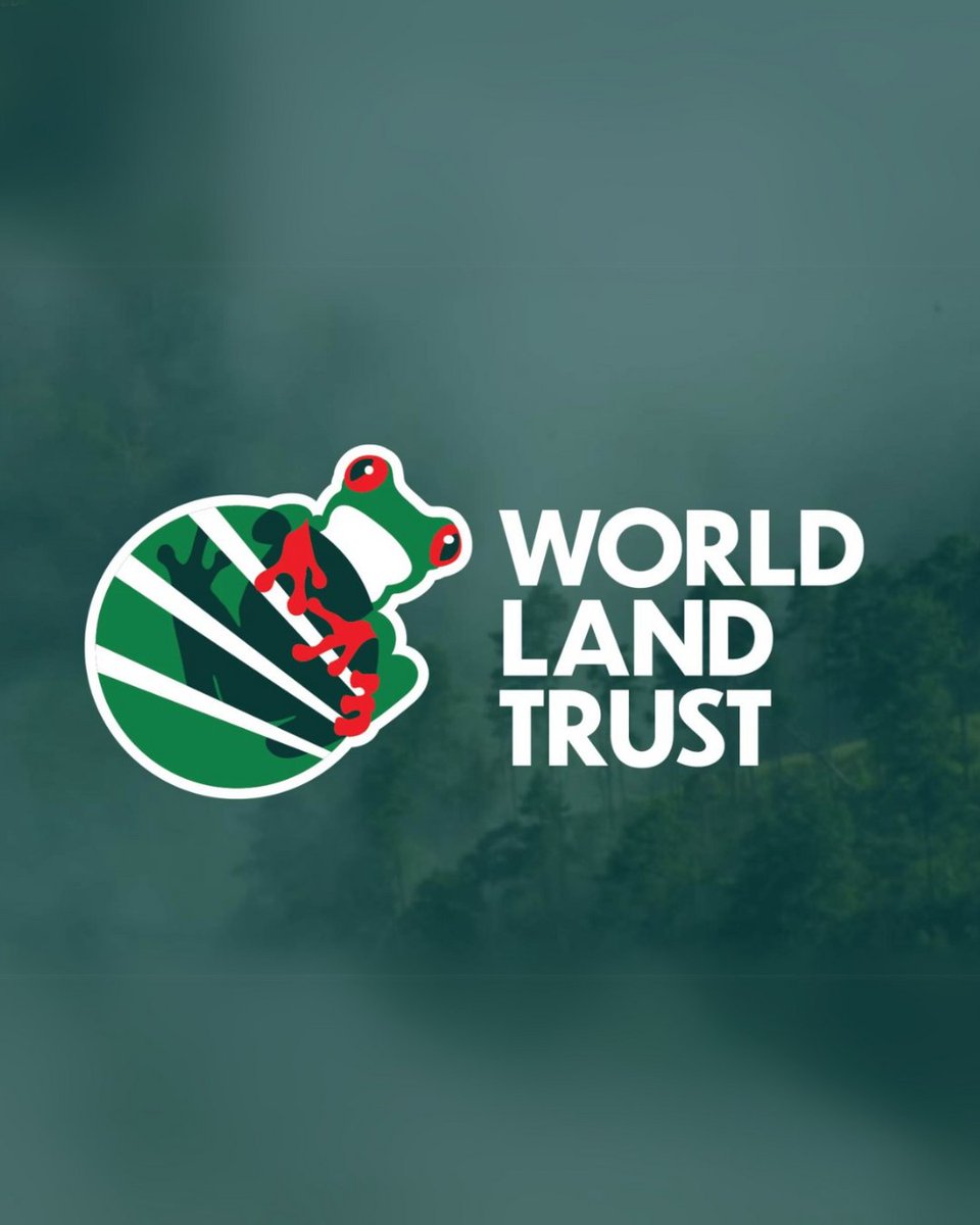 Sir David Attenborough, a Patron of World Land Trust, says that “the money that is given to the World Land Trust, in my estimation, has more effect on the wild world than almost anything I can think of.”

We'll continue to print carbon-balanced in support of this organisation 🌍