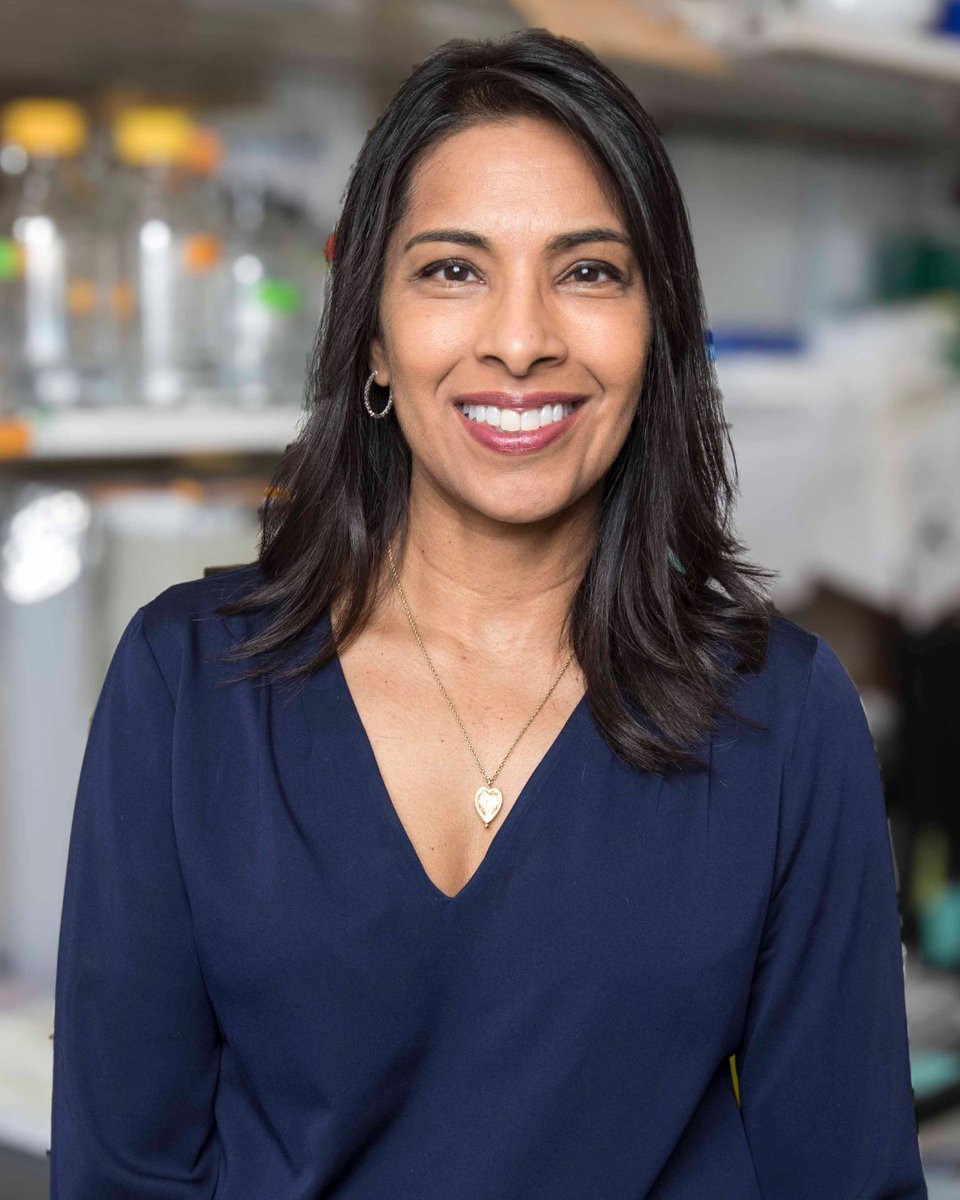 HHMI (@hhminews) on Twitter photo Meet Sangeeta N. Bhatia (<a href="/snbhatia/">sangeeta bhatia (same on bsky)</a>), an HHMI Investigator at <a href="/MIT/">Massachusetts Institute of Technology (MIT)</a>. She engineers micro- and nanotechnologies to study how cells interact with their environments—work that could lead to new cancer and liver therapies.
As an HHMI Investigator, she’s one of 250+ scientists Meet Sangeeta N. Bhatia (<a href="/snbhatia/">sangeeta bhatia (same on bsky)</a>), an HHMI Investigator at <a href="/MIT/">Massachusetts Institute of Technology (MIT)</a>. She engineers micro- and nanotechnologies to study how cells interact with their environments—work that could lead to new cancer and liver therapies.
As an HHMI Investigator, she’s one of 250+ scientists