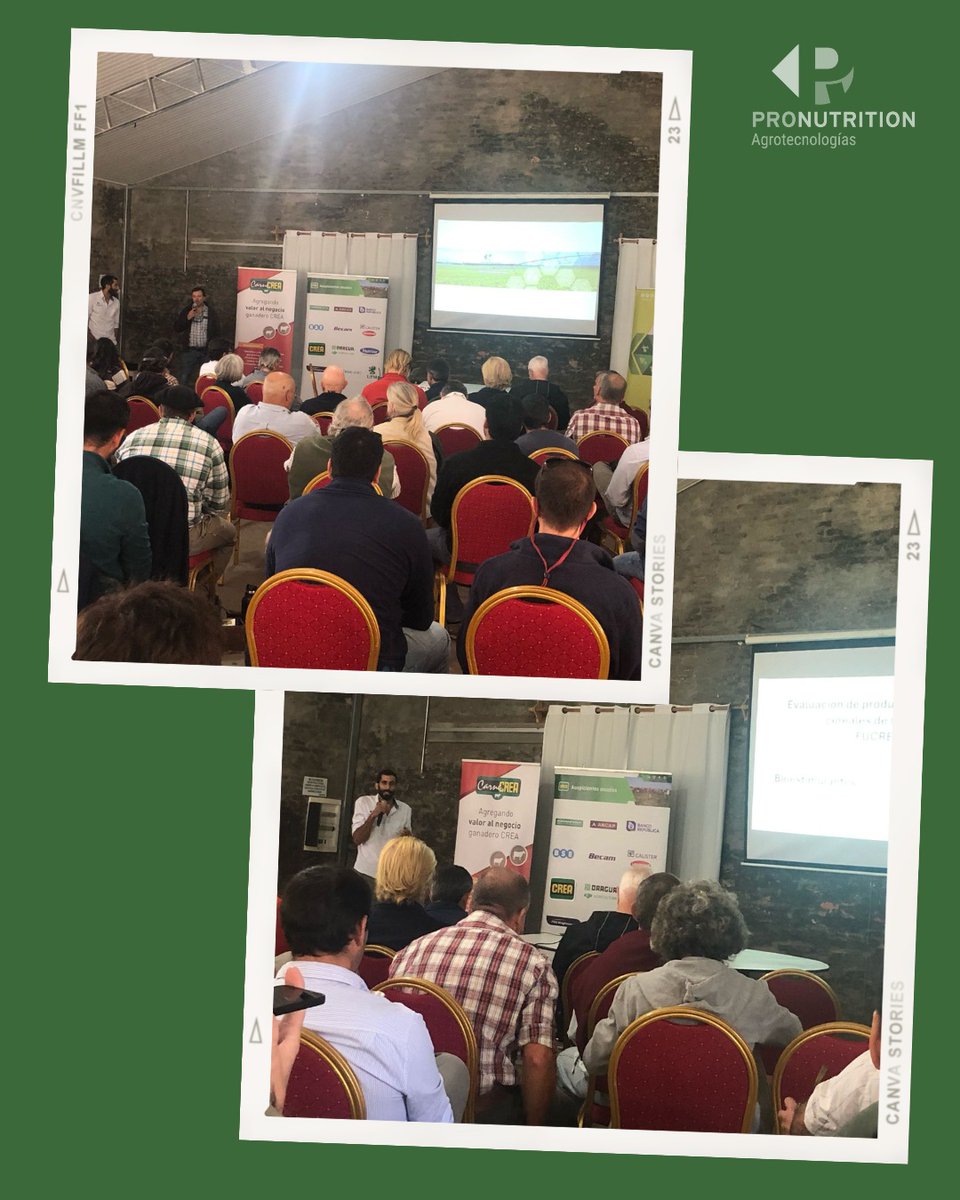 ProNutrition Agro (@pro_nutritionag) on Twitter photo Jornada de invierno de FUCREA
Hoy, en la Jornada de Invierno de FUCREA se realiza la presentación de resultados de los Proyectos de Investigación y Desarrollo que hemos estado trabajando en las zafras pasadas.
Proyectos:
✅ Bioestimulantes
✅ Fertilización base Zn
<a href="/FUCREA/">CREA Uruguay</a> Jornada de invierno de FUCREA
Hoy, en la Jornada de Invierno de FUCREA se realiza la presentación de resultados de los Proyectos de Investigación y Desarrollo que hemos estado trabajando en las zafras pasadas.
Proyectos:
✅ Bioestimulantes
✅ Fertilización base Zn
<a href="/FUCREA/">CREA Uruguay</a>
