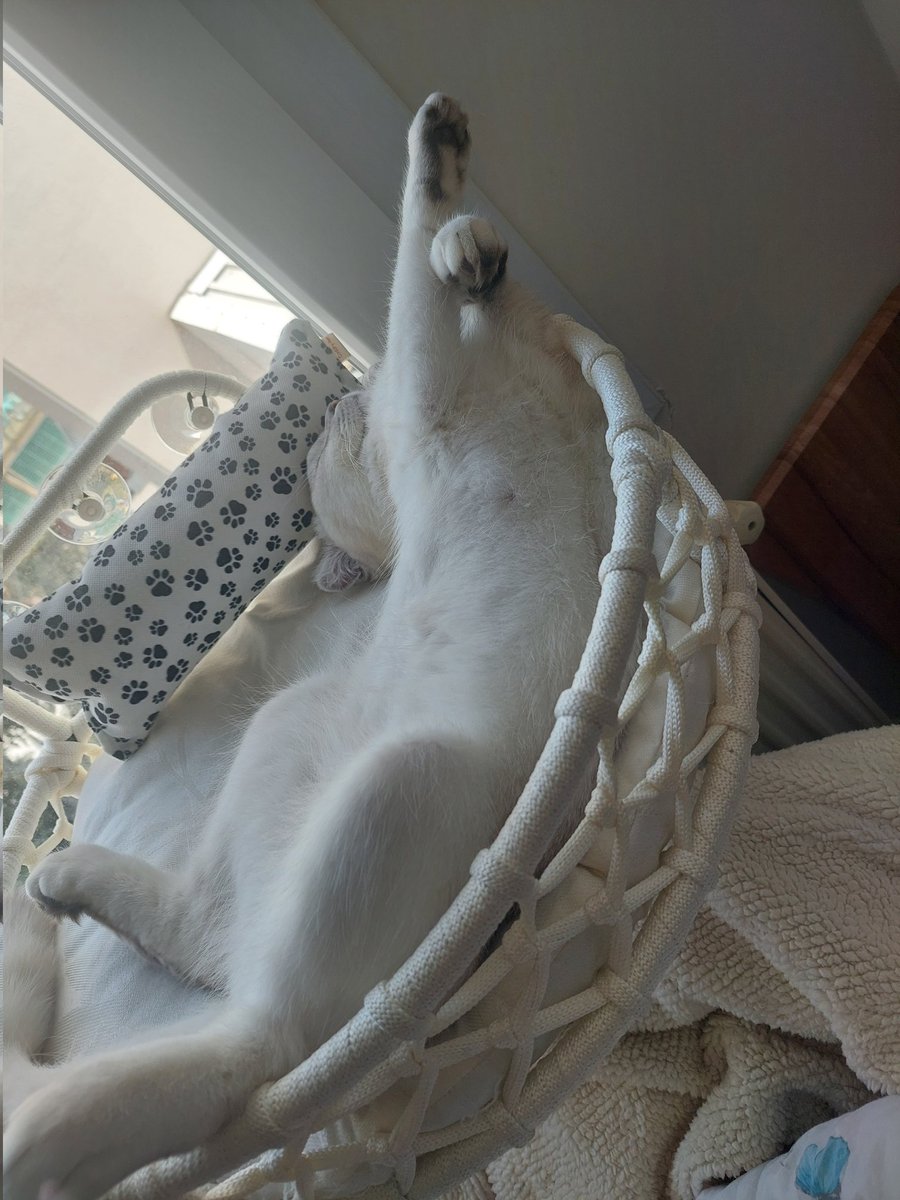 anem salak bi çucumk gibi uyudugumu söylüor