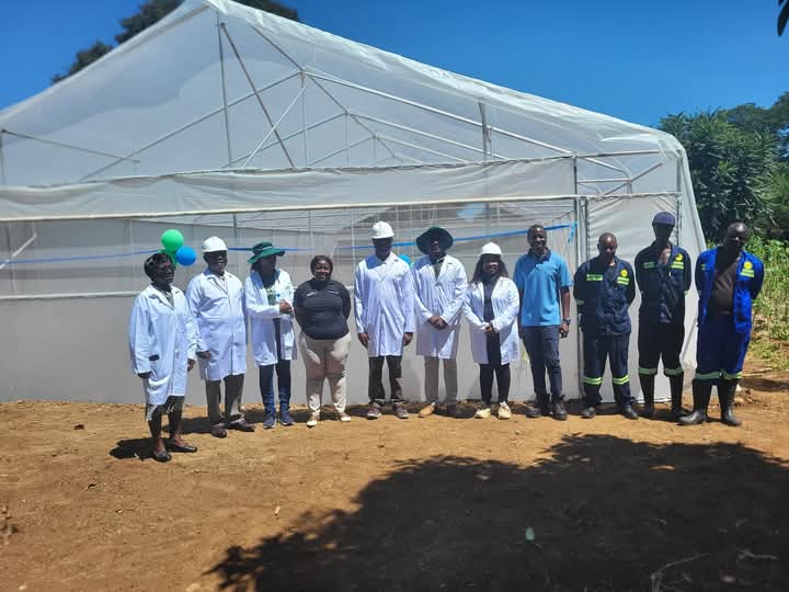 #Highlights of the day❗

Commissioning a 200sqm Metal greenhouse at St Joseph House for Boys

#GreenhouseCommissioning #StJosephHouseForBoys