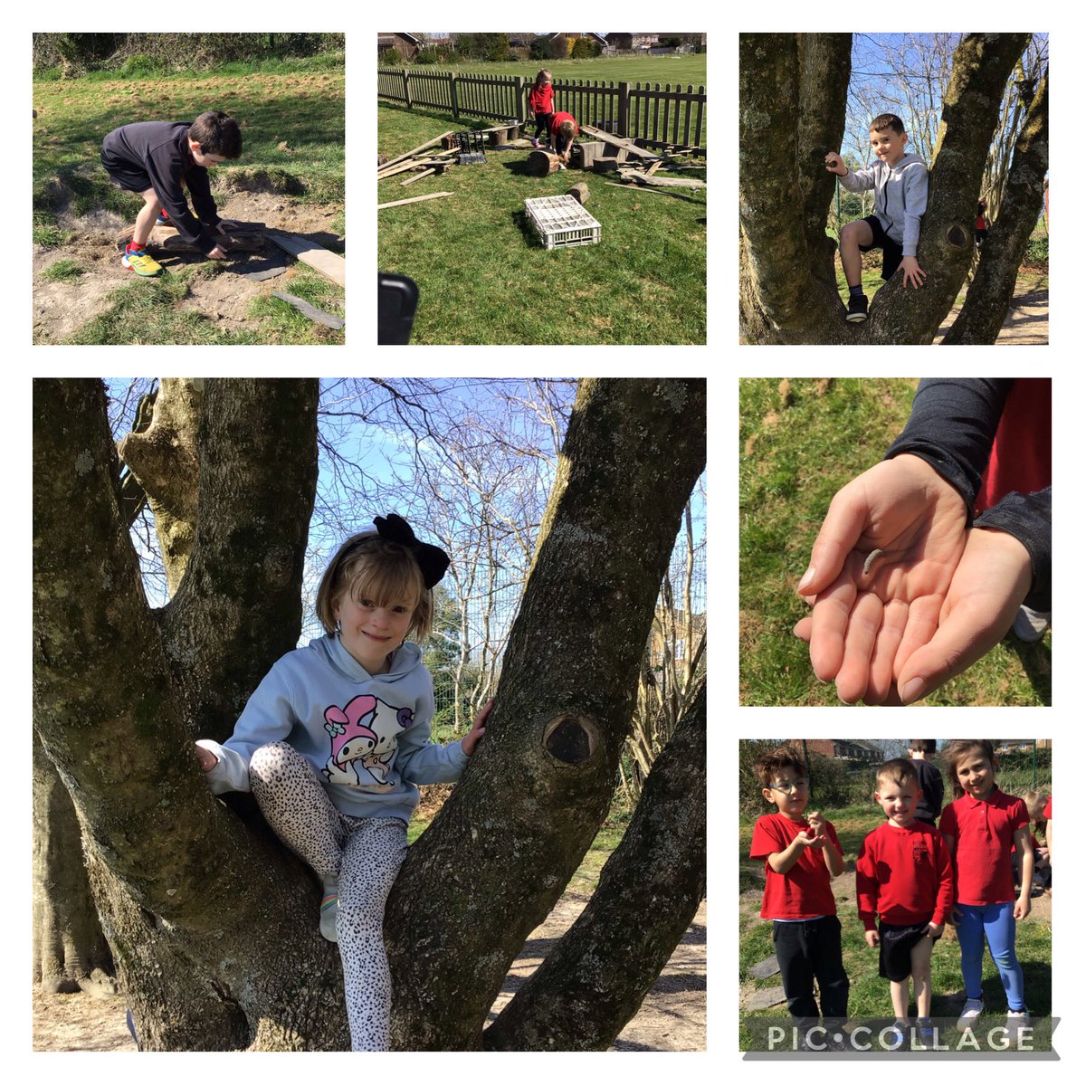 sps_year_1's tweet photo. Forest School Fun https://t.co/LvkRbNnDTa