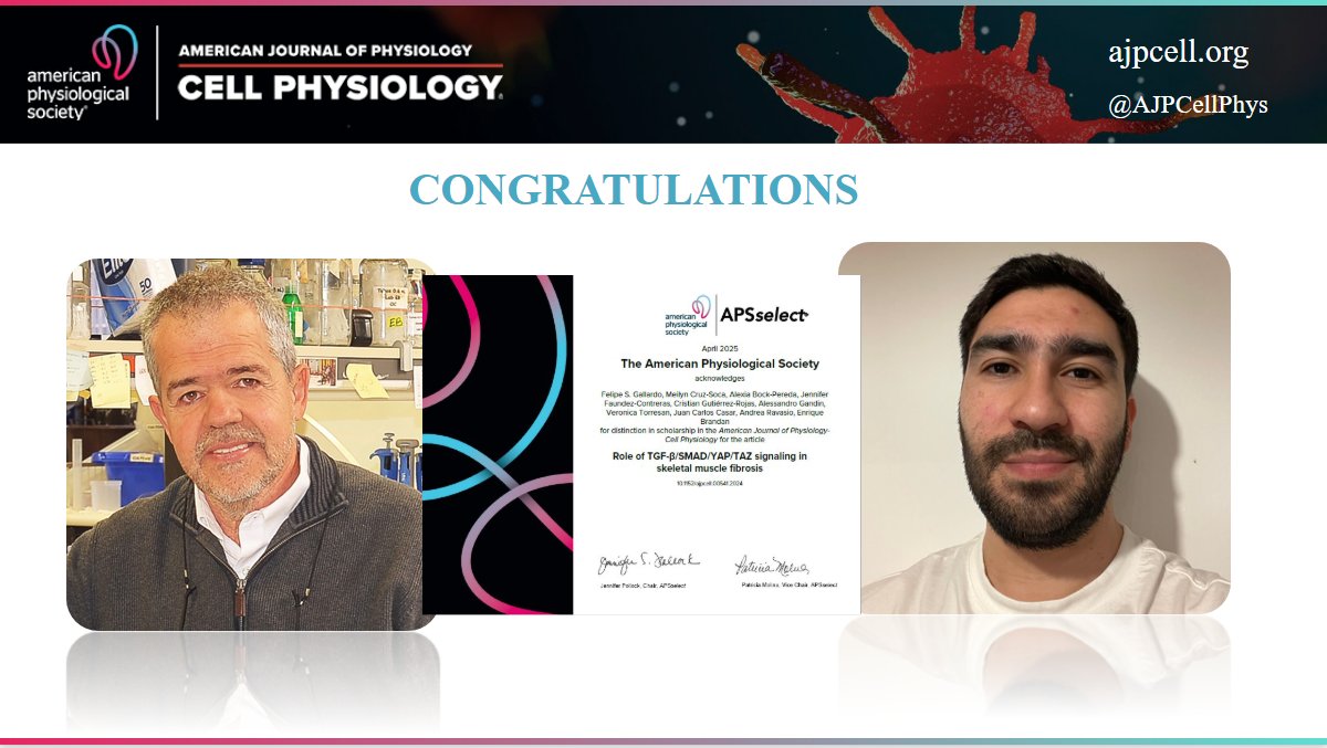 AJP-Cell Physiology (@ajpcellphys) on Twitter photo #APSselect April 2025!🎉
Role of TGF-β/SMAD/YAP/TAZ signaling in skeletal muscle fibrosis
By: Felipe S. Gallardo, et al.
📃ow.ly/okof50VsM2z
<a href="/VRID_USS/">Investigación USS</a> <a href="/FunCienciayVida/">Fundacion Ciencia & Vida</a> <a href="/ebrandans/">Enrique Brandan</a>
#AJPCell #Fibrosis #APSselect April 2025!🎉
Role of TGF-β/SMAD/YAP/TAZ signaling in skeletal muscle fibrosis
By: Felipe S. Gallardo, et al.
📃ow.ly/okof50VsM2z
<a href="/VRID_USS/">Investigación USS</a> <a href="/FunCienciayVida/">Fundacion Ciencia & Vida</a> <a href="/ebrandans/">Enrique Brandan</a>
#AJPCell #Fibrosis