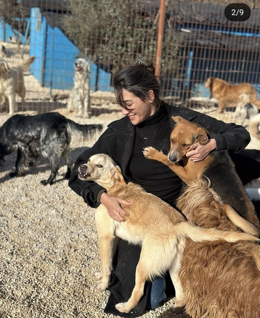 TRT nin kovduğu bu kız, barınaktan köpek sahiplenecek kadar temiz ve yufka yürekli biridir. Sadece hatırlatmak istedim. 
#AybükePusat