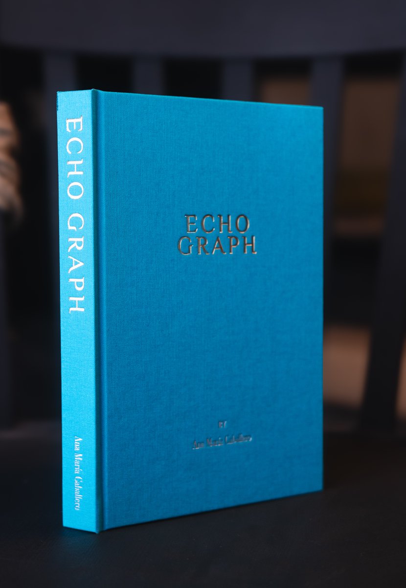 my Book Sculptures include a text-only BTC inscription of their verse, representing the future of the way we record our stories + an evolution of the page.

tomorrow 3.4, I'll list Echo Graph's at .111 BTC. 

ty <a href="/trygamma/">Gamma.io</a> <a href="/eliherf1/">eliherf - Brett Herskope</a> <a href="/thesovereignbtc/">Sovereign</a> <a href="/Inscribr_io/">Inscribr</a>