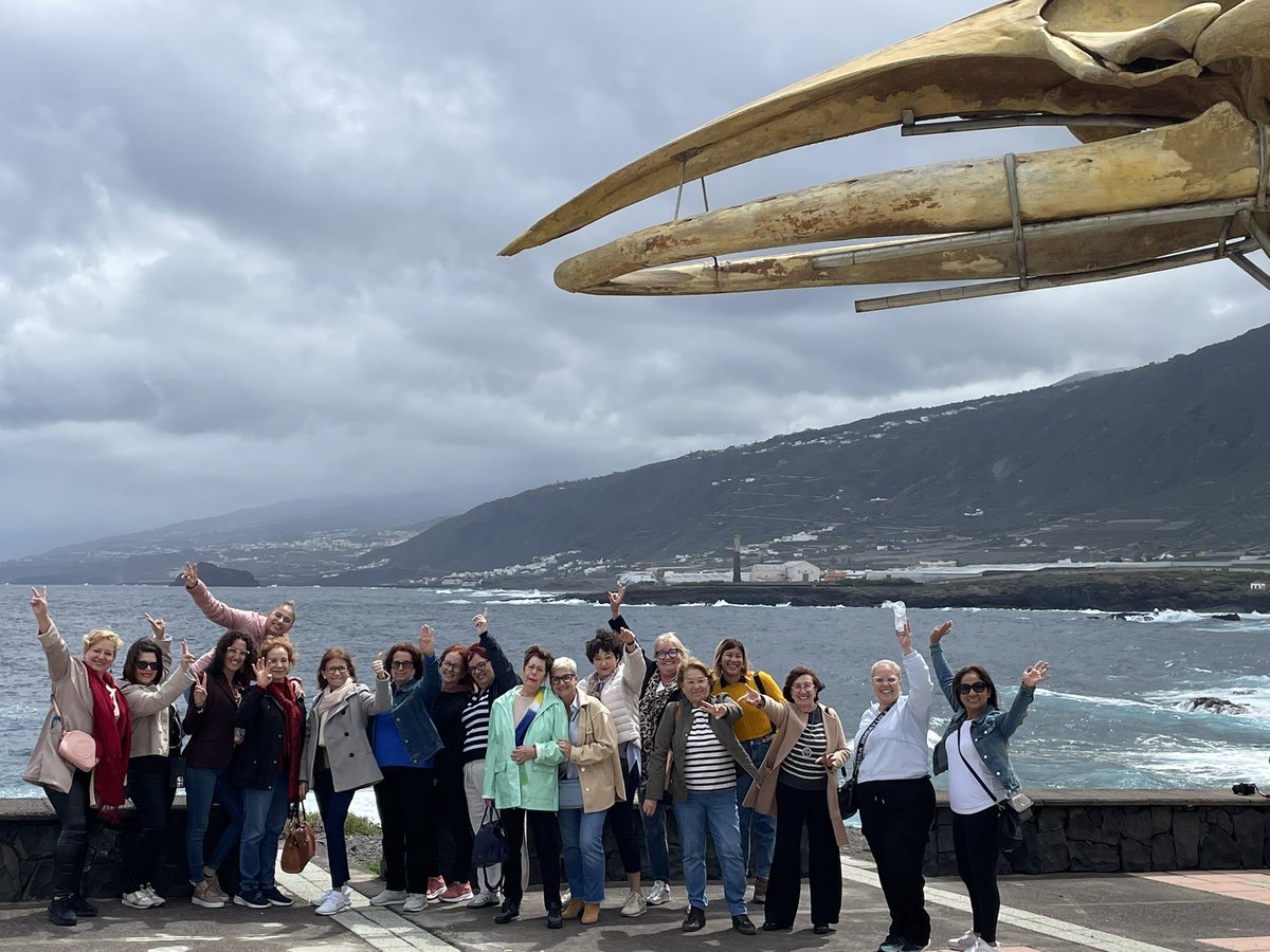 TurismoLosSilos's tweet photo. 📣 Hoy hemos recibido una visita especial de ASGOTE; Asociación de Gobernantas de Tenerife, ¡ha sido un placer tenerlas entre nosotros! Hasta la próxima… 🥰#asgote #lossilos #tenerife #islabaja #tenerife https://t.co/dCCnRcB8Km