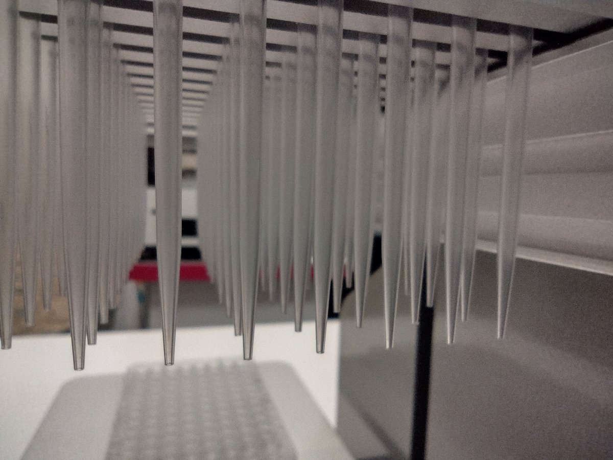 Marcel Brun tweet media