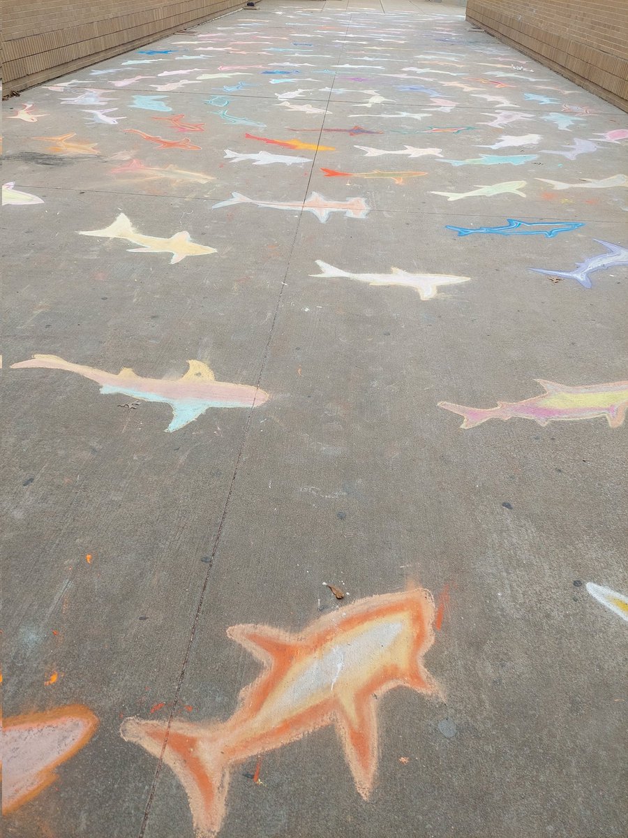 MarieWalker-Peterson tweet media