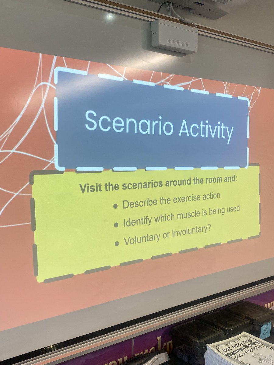 MissF_HealthEd's tweet photo. Exploring the human anatomy and how the muscles work to perform daily actions today in personal Health and Wellness. Moving our muscles as we travel around the room during our scenario active!💪🏼🏃🏼‍♀️ https://t.co/DFvPDAdKFX
