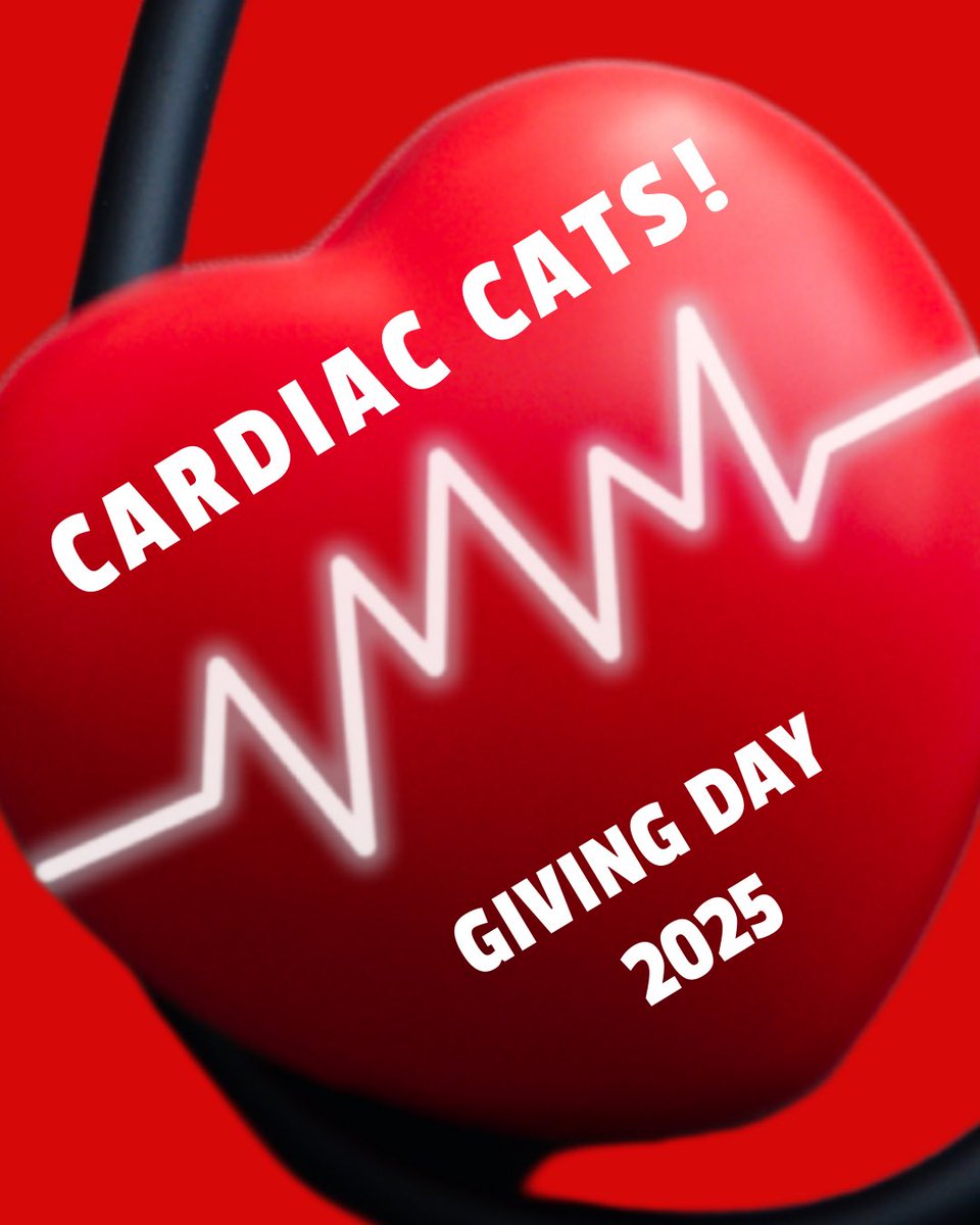 We compete on and off the field. Look for us to make a late surge for the highest number of donors competition on Giving Day.

There’s a reason they call us the Cardiac Cats! 

You have until 11:59 am today to donate. 

give.frostburg.edu/bobcat-giving-…