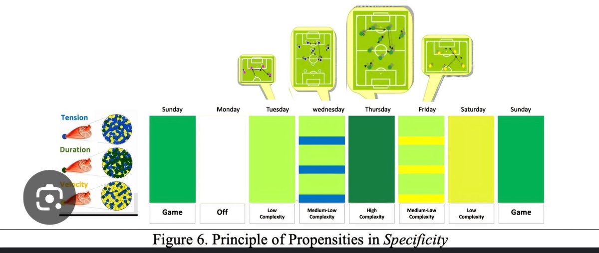 Playing creates a physical, cognitive &amp; emotional load. As coaches, we try to pull them apart, but they are connected!
The "Pattern Morphocycle" creates a training rhythm that you modify based on your "sensitivity" to the process, respecting these 3 loads.
"Fitness vs Freshness"