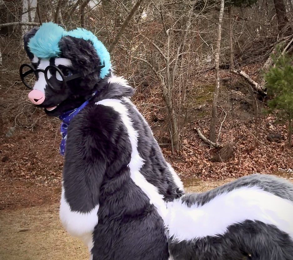 “Hmmmm, I wonder where those stripes lead?”

Hehehe🦨

#FursuitEveryday #fursuiting #fursuit