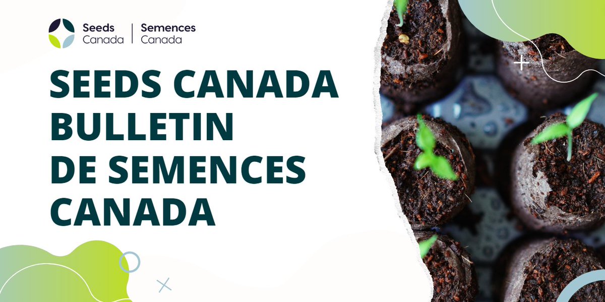Our monthly newsletter 'Seeds for Thought' was just released! Read the latest edition here: mailchi.mp/seeds-canada.c…

Subscribe today to stay up to date on all things Seeds Canada &amp; #CdnAg: seeds-canada.us15.list-manage.com/subscribe?u=af…