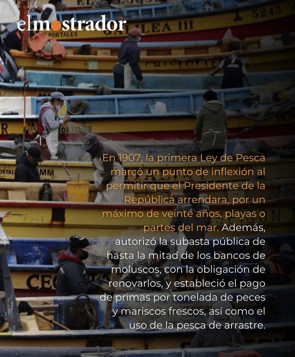 Centro UC Observatorio de la Costa tweet media