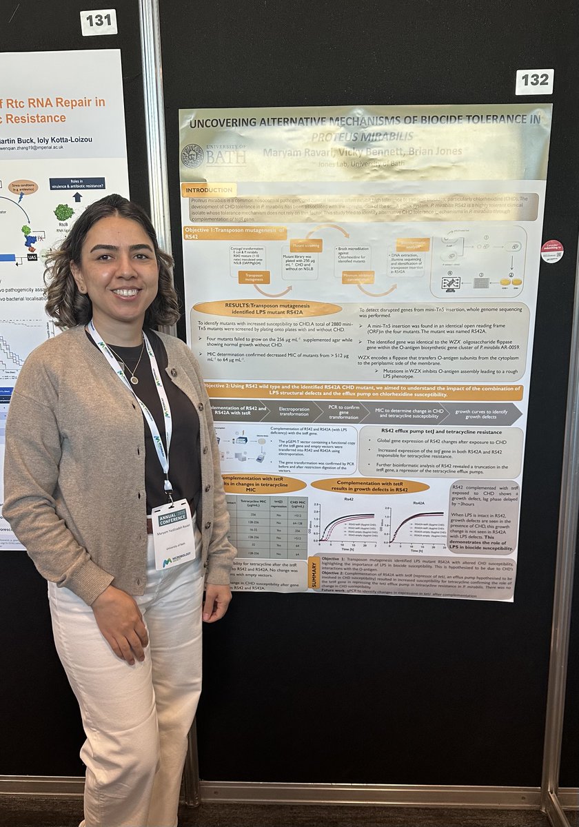 Tiffany Taylor (@taylorlabgroup) on Twitter photo If you're at <a href="/MicrobioSoc/">Microbiology Society</a> annual conference, go find Maryam Ravari who is presenting her work on mechanisms of biocide tolerance un Proteus mirabilis! #Microbio25 If you're at <a href="/MicrobioSoc/">Microbiology Society</a> annual conference, go find Maryam Ravari who is presenting her work on mechanisms of biocide tolerance un Proteus mirabilis! #Microbio25