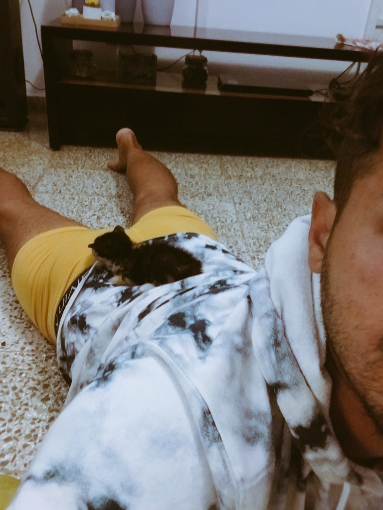 ircasper3's tweet image. Nueva felina en casa , nuestra Cleo ya sabe donde dormir 😴