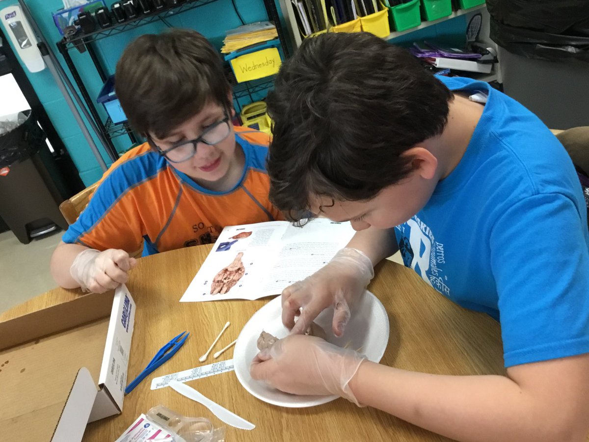 212 Academy (@212_academy) on Twitter photo Students from <a href="/RockfieldE/">Rockfield Elementary</a>, <a href="/OESCards/">Oakland Elementary</a>, and <a href="/BriarwoodES/">Briarwood Elementary</a> have been studying the various lobes of the brain and their functions. They were able to dissect sheep brains to see many parts of the brain in real life. Students from <a href="/RockfieldE/">Rockfield Elementary</a>, <a href="/OESCards/">Oakland Elementary</a>, and <a href="/BriarwoodES/">Briarwood Elementary</a> have been studying the various lobes of the brain and their functions. They were able to dissect sheep brains to see many parts of the brain in real life.