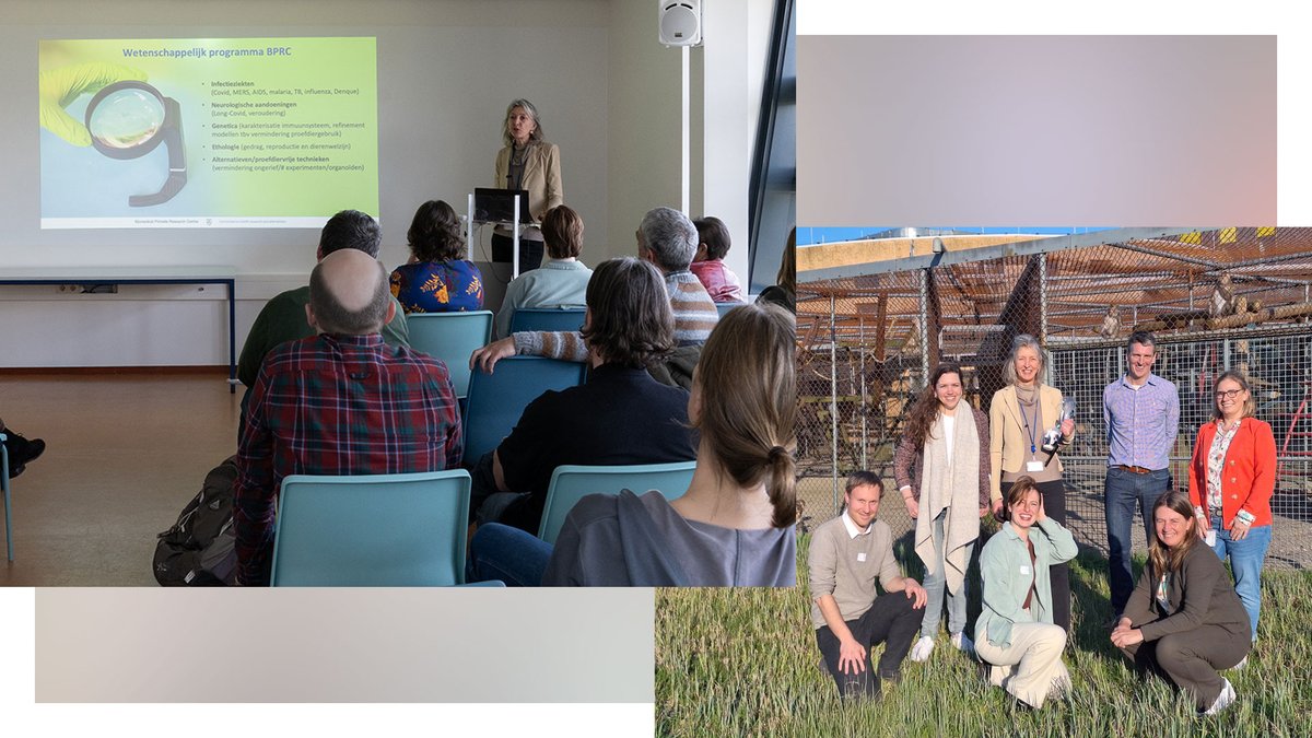 De 4e Groep Proefdier Dierenarts (GPD)-dag was dit jaar bij ons in Rijswijk. 🩺

Een middag vol interessante presentaties en een rondleiding over ons terrein. 🐒

We kijken terug op een geslaagde middag en danken de bezoekers en het GPD-bestuur voor hun komst en interesse in ons!