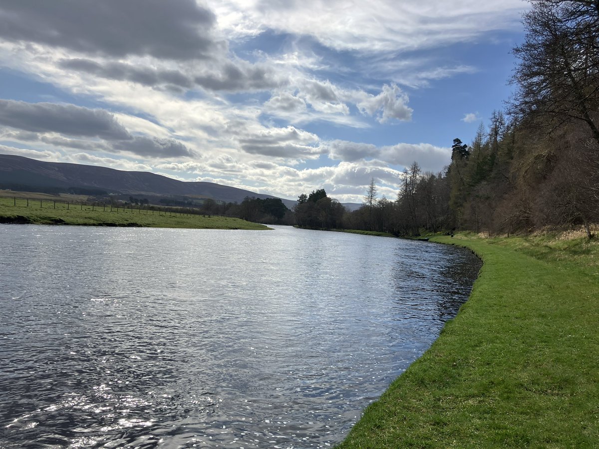 DuncanTweedsThomas tweet media