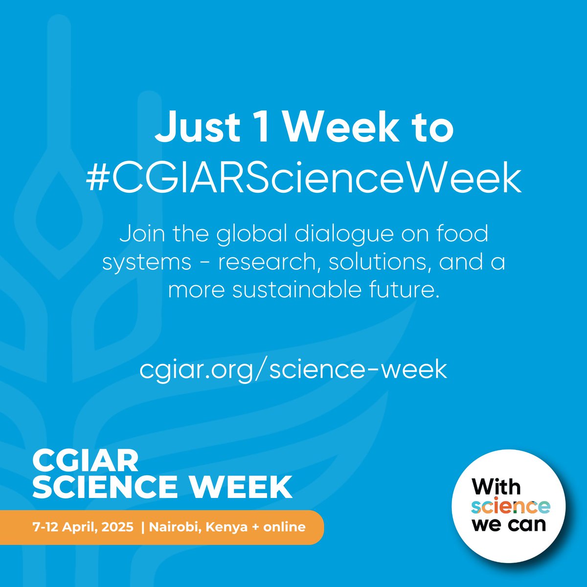 CGIAR Science Week 2025 is just one week away! 🚀🌱 With the launch of the new CGIAR Research Portfolio and an exciting agenda of cutting-edge science, this is a pivotal moment for agrifood systems.

Are you ready to be part of it?

🔗: on.cgiar.org/4iyxRwF 
#WithScienceWeCan