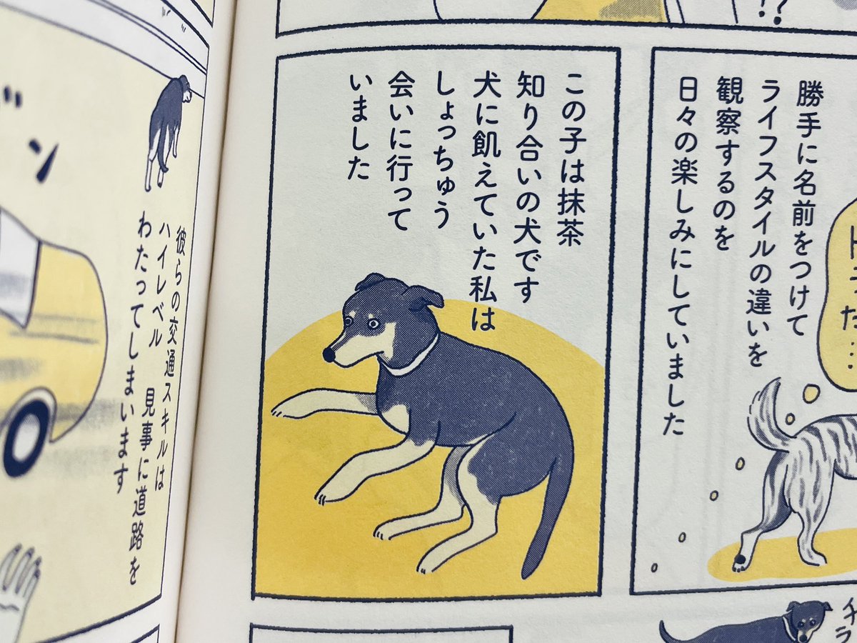 Kanbin Nagataさんの 『台湾「ワン」ダフルライフ』📗🐾 台湾で暮らす