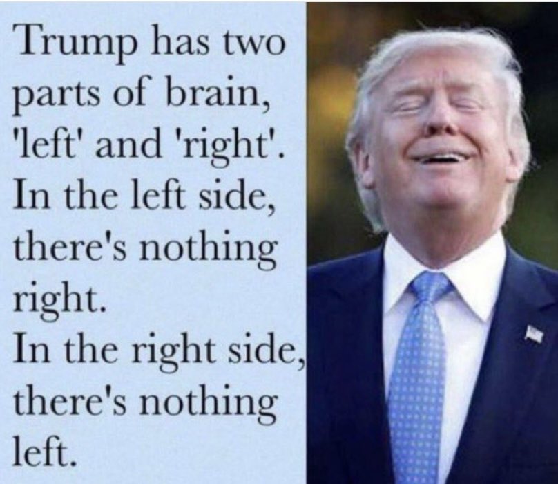 WillowMantis's tweet image. 