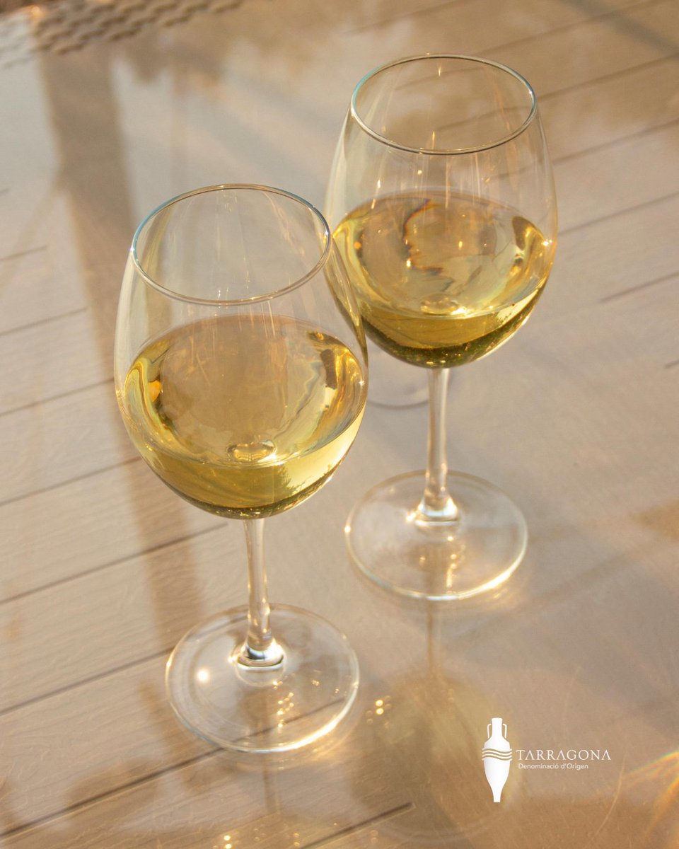 Sabies que els vins blancs amb criança es diferencien per la seva maduració?

El mínim de 18 mesos de maduració els aporta una elegància i profunditat en sabor únics. Coneixes els vins blancs amb criança que tenim a la #DOTarragona? 

Entra a dotarragona.cat/vins.php i tria el teu