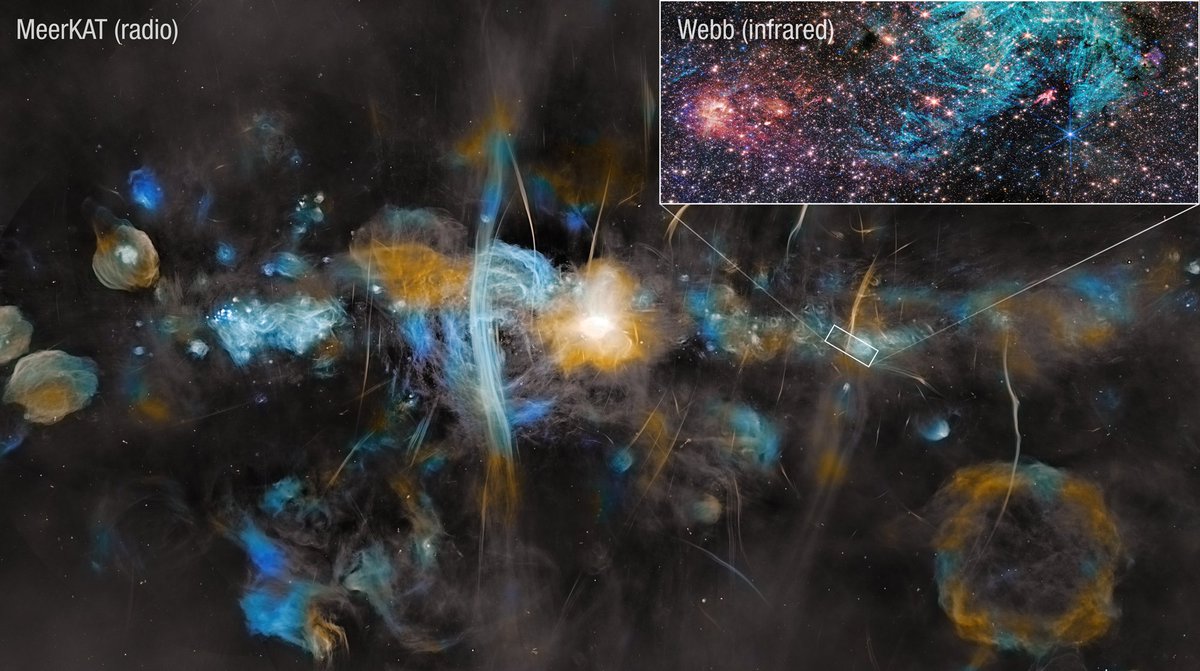 What does star formation look like in extreme environments? 🌟

Webb &amp; MeerKAT (a ground-based radio telescope) took a look at Sagittarius C, a star-forming region located in the heart of our galaxy, near the supermassive black hole at its core.

go.nasa.gov/42fnmHe