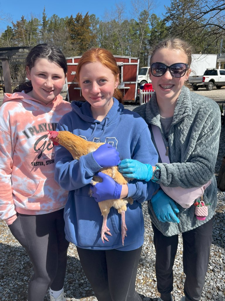 Clearview Regional School District (@clearview_nj) on Twitter photo Our Middle School Student Council volunteered at Funny Farm Animal Rescue! They raised funds, collected donations, and helped care for the animals. A great way to give back to a nonprofit home to 600+ rescued animals! Our Middle School Student Council volunteered at Funny Farm Animal Rescue! They raised funds, collected donations, and helped care for the animals. A great way to give back to a nonprofit home to 600+ rescued animals!
