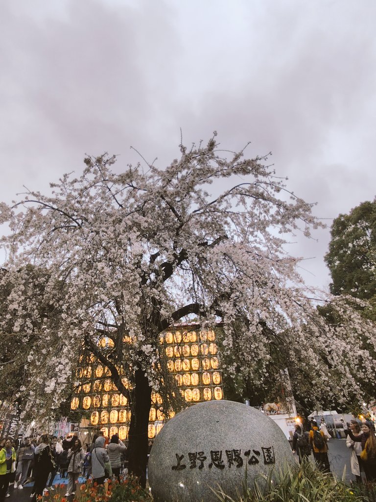tenkinzokufuna's tweet image. 4/2(水)Utaco.@上野公園
うえの桜フェスタに3日出演された最終回。
桜も見頃の夕刻に素敵な歌声が響き渡り多くの人が足を止めていた。
今月はライブこの1本のみで、動画UPや配信に力を入れるとのこと。それもまた楽しみ。
蜃気楼→無限ループ→愛なんて→栞→タイムリミット告げて→Utopia
#Utaco.
