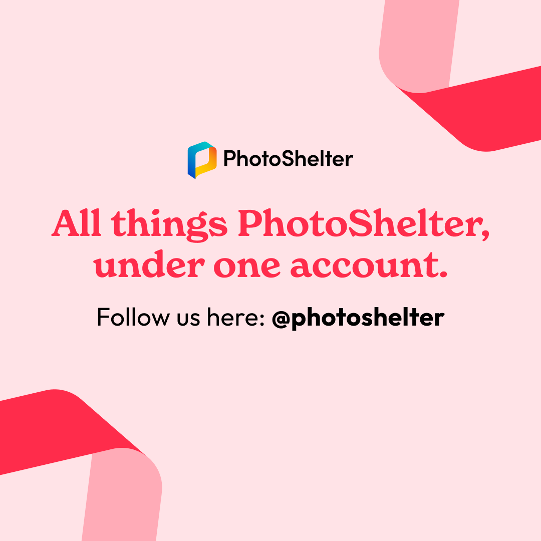 PhotoShelter for Brands tweet media